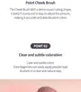 Blur Fit Easy Brush Cheek