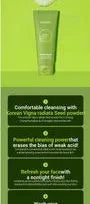 Mung Bean Ph-balanced Cleansing Foam Jumbo