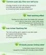 Aloe 99% Soothing Gel 250ml
