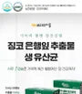 Memory Blood Circulation Gut Health Care Ginkgo Biloba Extract Probiotics