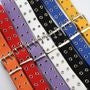 Double Eyelet Canvas Belt