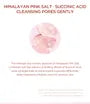 Madagascar Centella Poremizing Clarifying Mask Set
