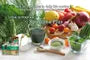 Fine Superfood Spirulina + Lactic Acid Powder