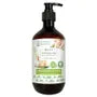 King of Ginger Malaysia Bentong Ginger Anti Hair Loss & Expel Wind Shampoo