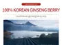 Korean Ginseng Berry Tea