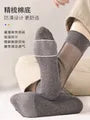 Plain Sheer Socks / Set