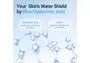 Blue Hyaluronic Water Shield Cream