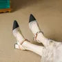 Pointed Chunky Heel Sandals