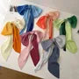 Gradient Pleated Narrow Scarf