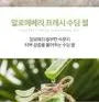 Aloe Vera Fresh Soothing Gel