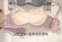 Panel Lace Wireless Bra / Panty / Set