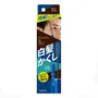 Salon De Pro Men's White Hair Hide Pigment Color