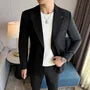 Peak Lapel Single-Breasted Plain Blazer / Mid Rise Straight Leg Dress Pants / Set