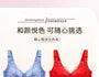 [90B - 120F] Plus Size Plain Lace Wireless Bra