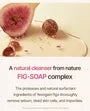 Fig Foam Cleanser 2pcs Bundle Set