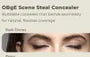 Scene Steal Concealer - 2 Colors