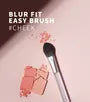 Blur Fit Easy Brush Cheek