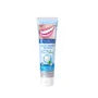 Daily Fresh White Icy Mint Toothpaste