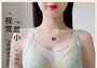 [90B - 105E] Plus Size Mesh Panel Lace Wireless Bra