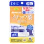 Ginkgo Biloba Alpha Tablet 10pcs Bundle Set