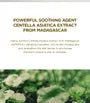 Madagascar Centella Cream Mini