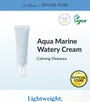 Aqua Marine Watery Cream