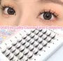 Doll Eye Spiky Cluster False Eyelashes (Various Designs)