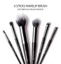 6 pcs Makeup Brush Set