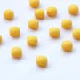 Shijimi, Oyster & Turmeric + Stomach Lactic Acid Bacteria 30 days
