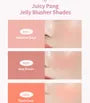 Juicy-Pang Jelly Blusher - 6 Colors