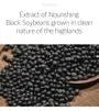 Soybean Nourishing Mask