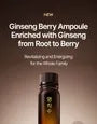 Ginseng Berry Ampoule 2pcs Bundle Set