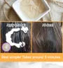 Milky Piggy Collagen Coating Protein Ion Injection 50ml