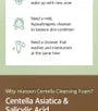 Centella Cleansing Foam