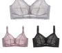 [90B - 105E] Plus Size Wireless Lace Bra
