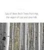 Birch Juice Moisturizing Tone Up Sunscreen