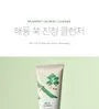 Mugwort Calming Cleanser
