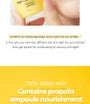 Propolis Lipcerin