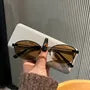 Oval Sunglasses