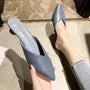 Pointed Toe Kitten Heel Mules