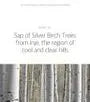 Birch Juice Moisturizing Sun Stick