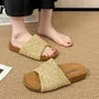 Platform Woven Slide Sandals