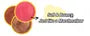 Blush Mallow Soft Blusher - 6 Colors