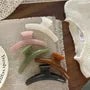 Plastic Hair Claw Clip