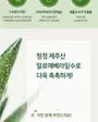 Jeju Aloe 95% Fresh Soothing Gel 300ml