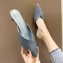 Pointed Toe Kitten Heel Mules