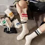Striped Ribbed Socks