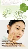 Cica-Tree Water Jelly Sun Serum