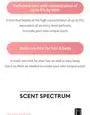 Dare Body Mist - 7 Types
