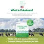 Goat's Milk Colostrum Protein Powder Stick